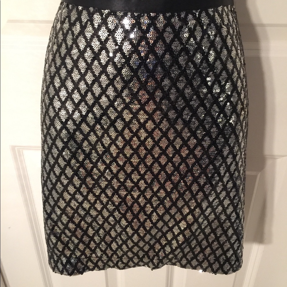 NWT Menard metallic skirt